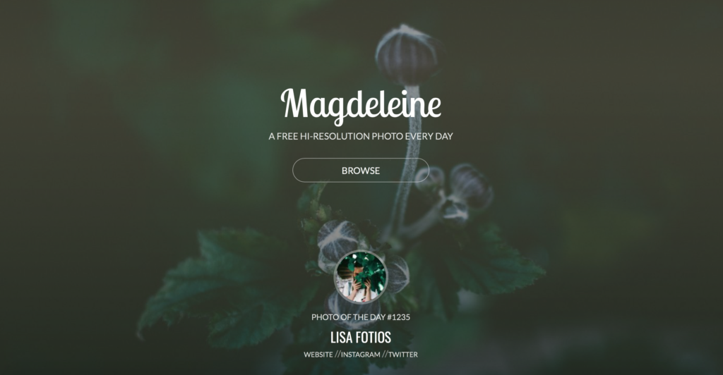Magdeliene - Digitoly