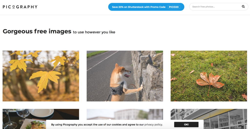 Picography - Digitoly