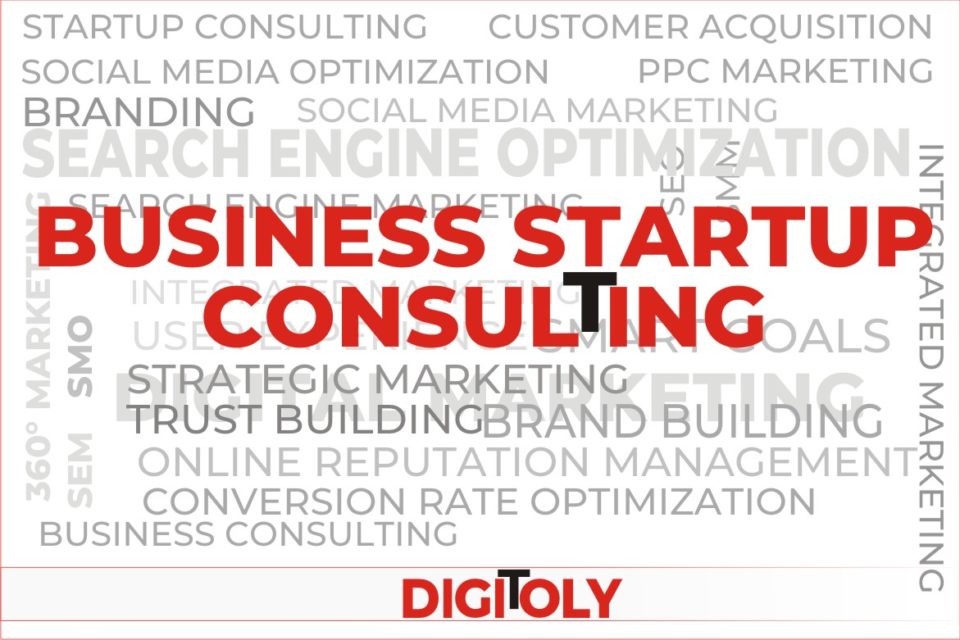 business-startup-consulting